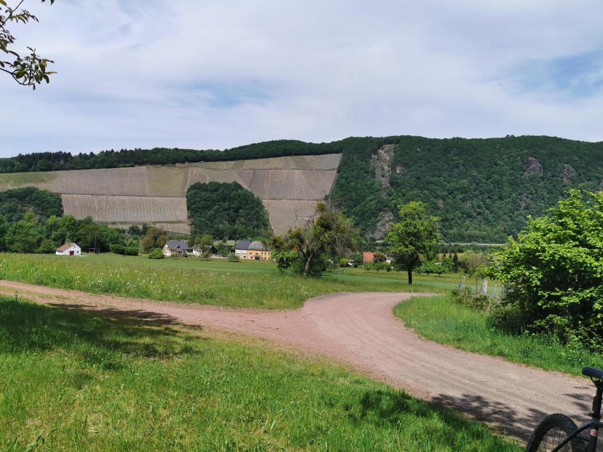 Apartment Gemütliche 90 Qm In Saarburg, Zentral Gelegen, Garten Mit Aussicht, Separater Eingang